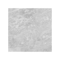 Plata Field Marble Look Tile "Polished"