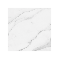 Plata Field Marble Look Tile "Polished"