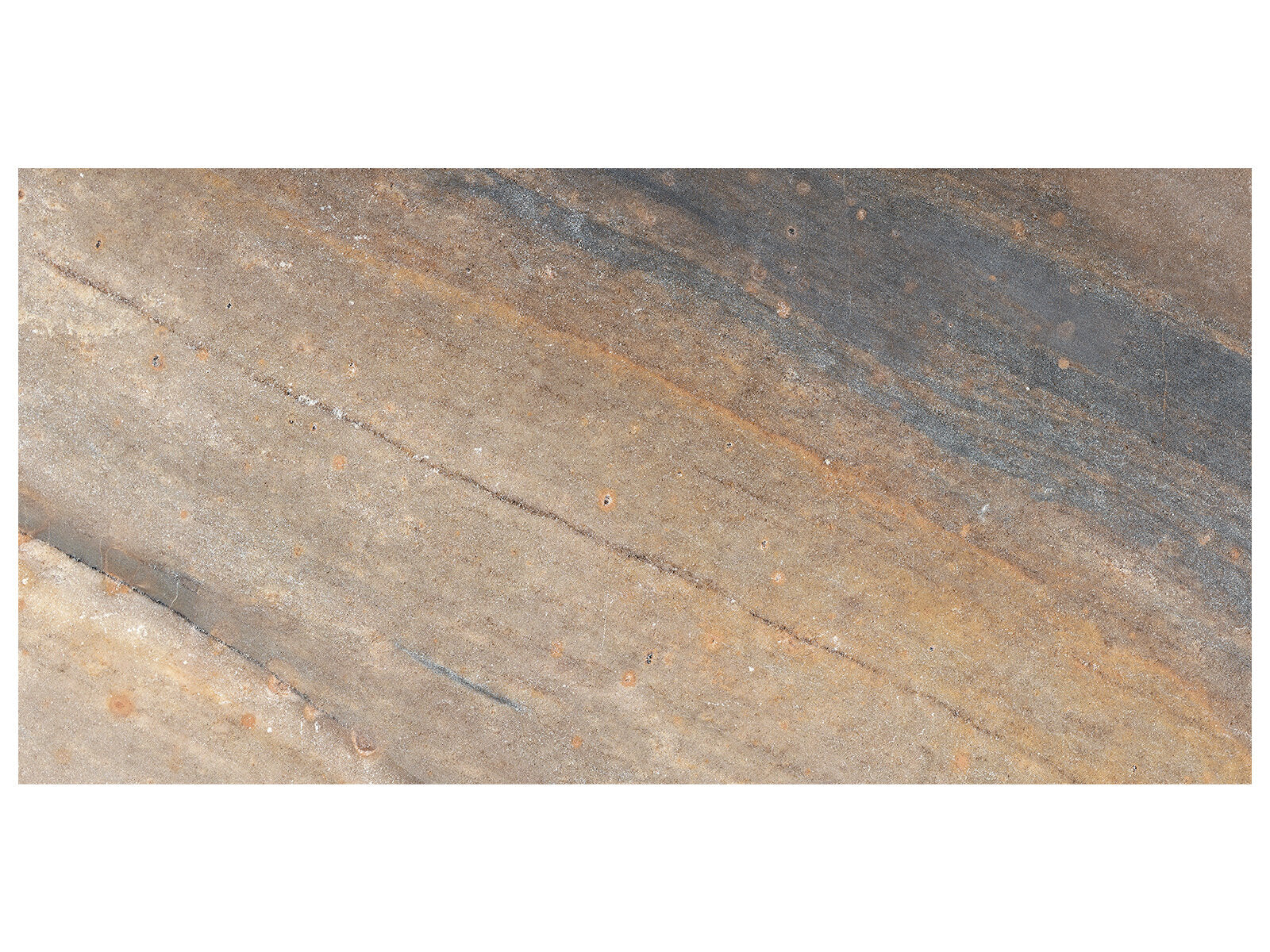 Evolution Tile