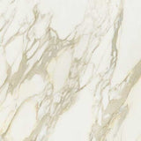 Etoile Marble Look Tile