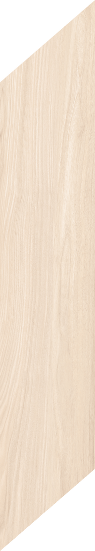 Hike Wood Look Porcelain Chevron Tile