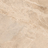 Coast Tile