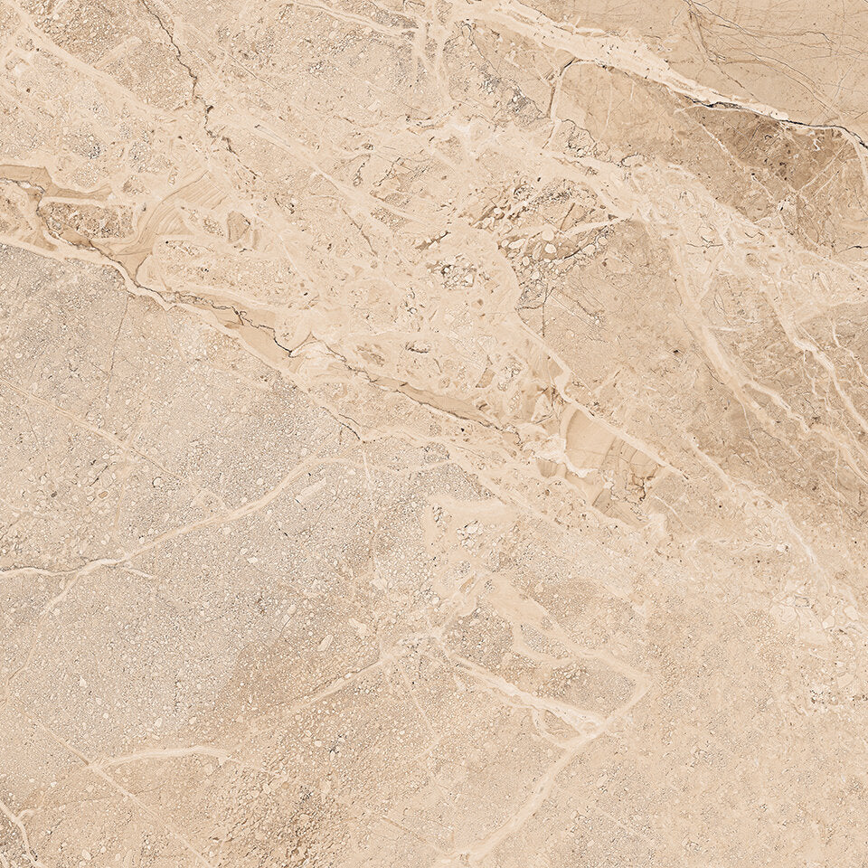 Coast Tile