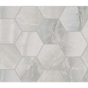 Akoya Hexagon Marble Look Tile