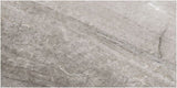Evolution Tile
