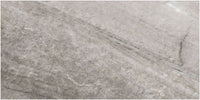Evolution Tile