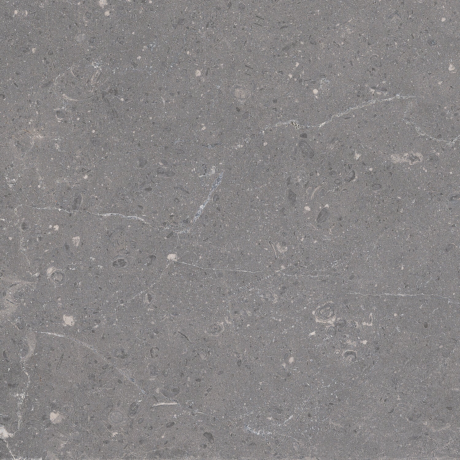 Madison Tile