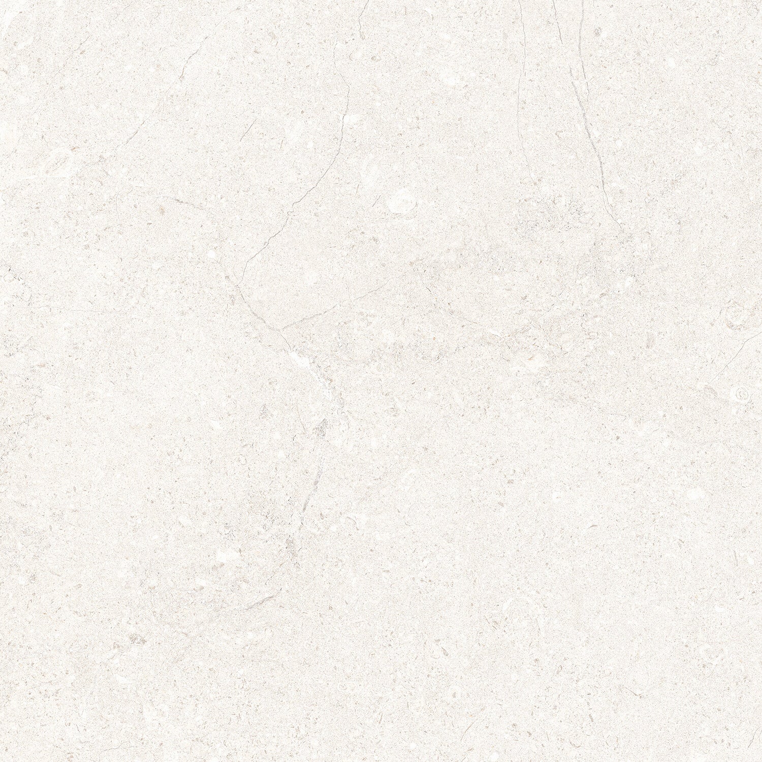 Madison Tile