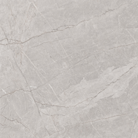 Joliet Tile