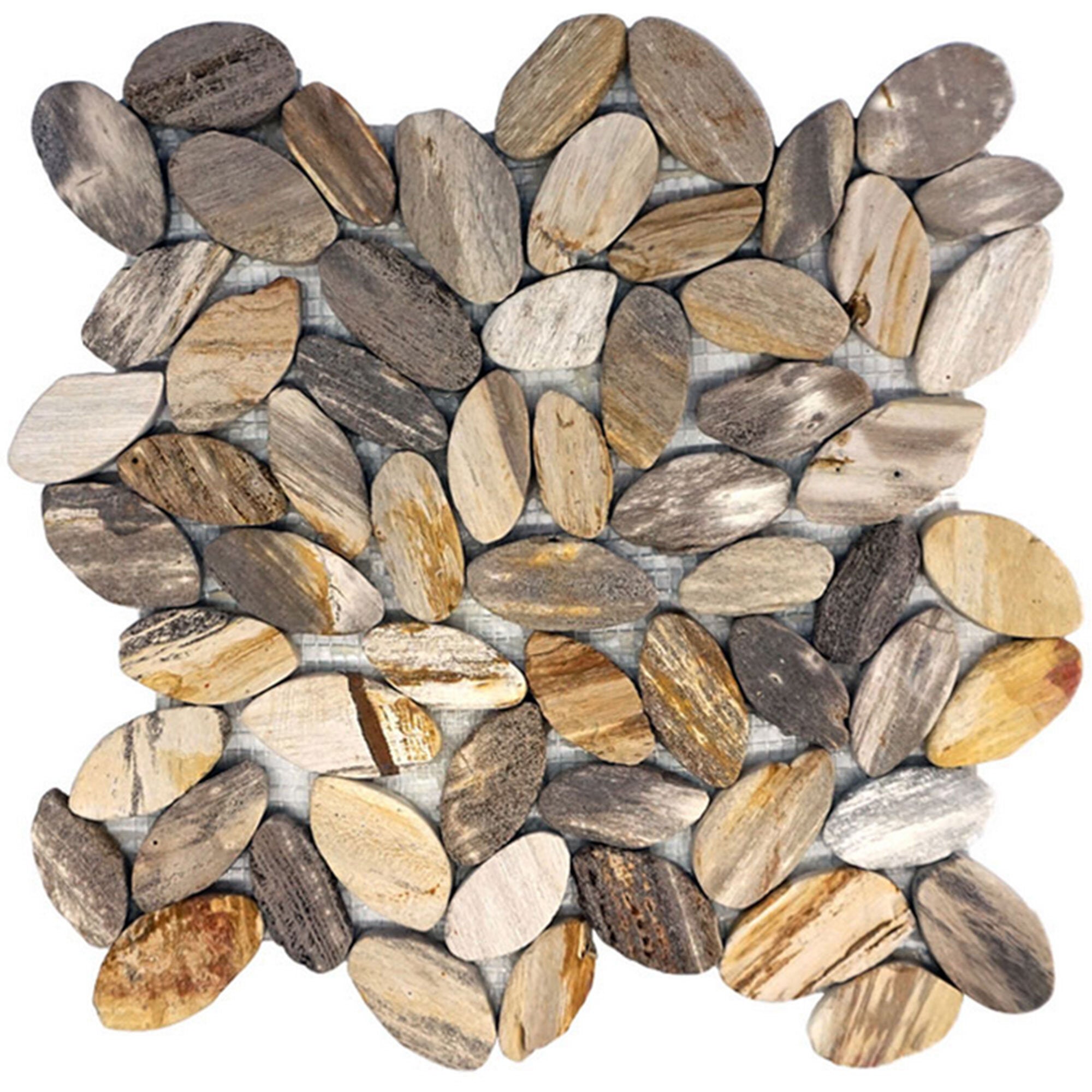 Neolith Petrified Wood Tile