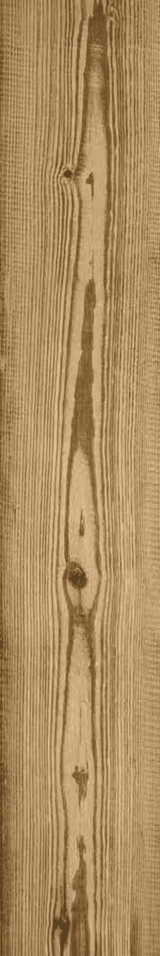 Cortina Wood Look Porcelain Tile