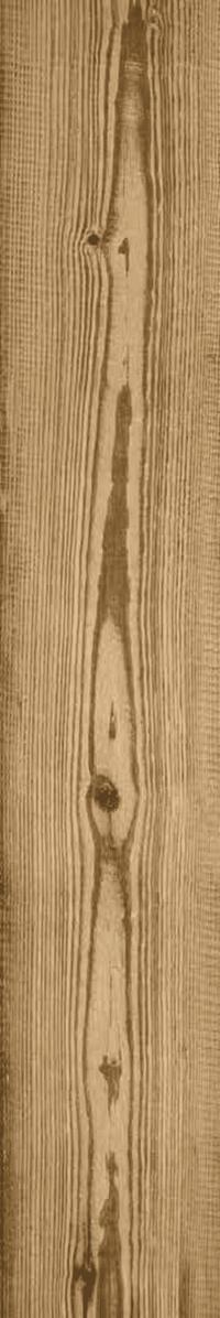 Cortina Wood Look Porcelain Tile