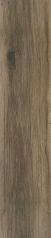 Blaze Wood Look Porcelain Tile