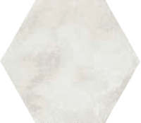 Tropical Hexagon Tile