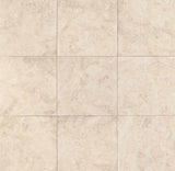Renaissance Tile