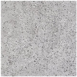 GeoPrism Terrazzo Tile