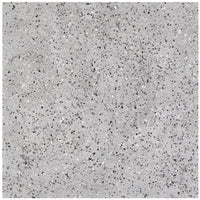 GeoPrism Terrazzo Tile