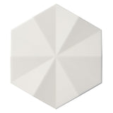 Define Ogassian Hexagon Tile
