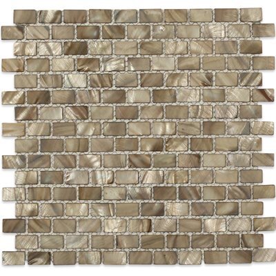 Freshwater Shell Tile Mini-Brick