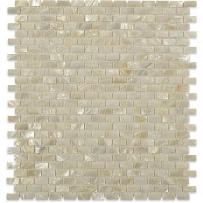 Freshwater Shell Tile Mini-Brick