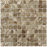 Freshwater Shell Tile Squares