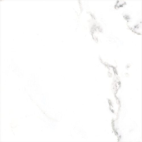 Classic Series Marble Look Tile Matte