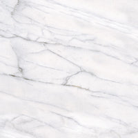 Classic Series Marble Look Tile Matte