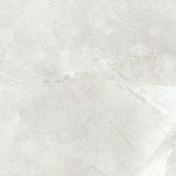 Classic Series Marble Look Tile Matte