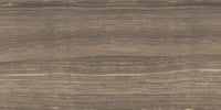 Eramosa Tile Polished