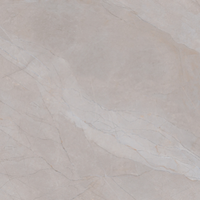 Maximus Marble Look Tile