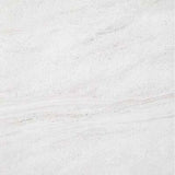 Eon Marble Look Tile Matte