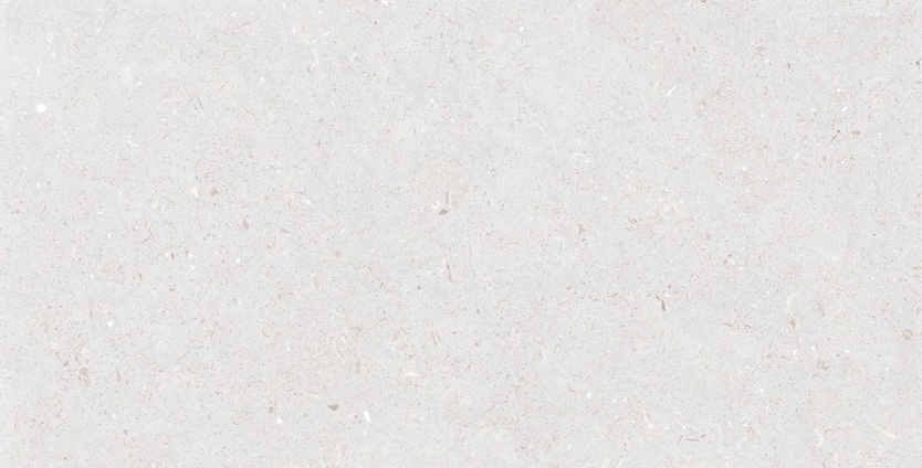 Fossil Impatto Tile