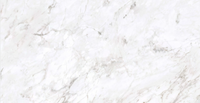Proxima Carrara Ultimo Tile