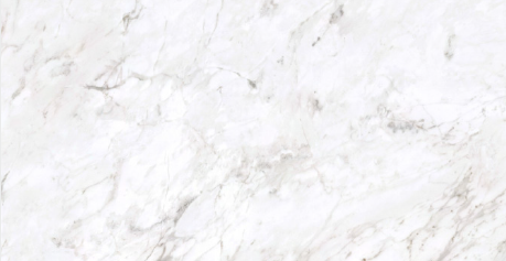 Proxima Carrara Ultimo Tile