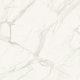 Marmorea Marble Look Tile Polished