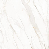 Maximus Marble Look Tile