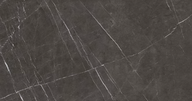 Proxima Pietra Grey Tile