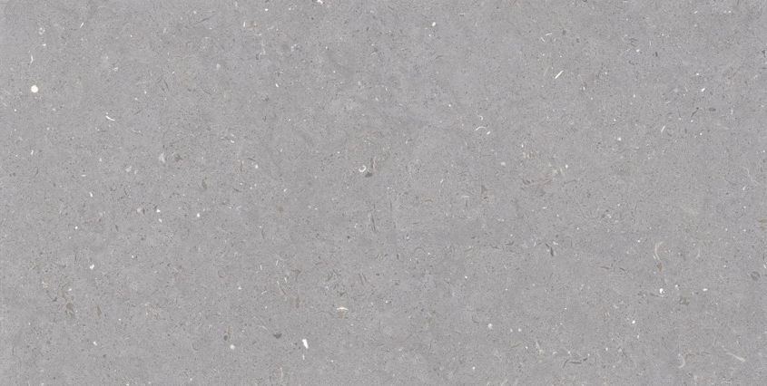Fossil Impatto Tile