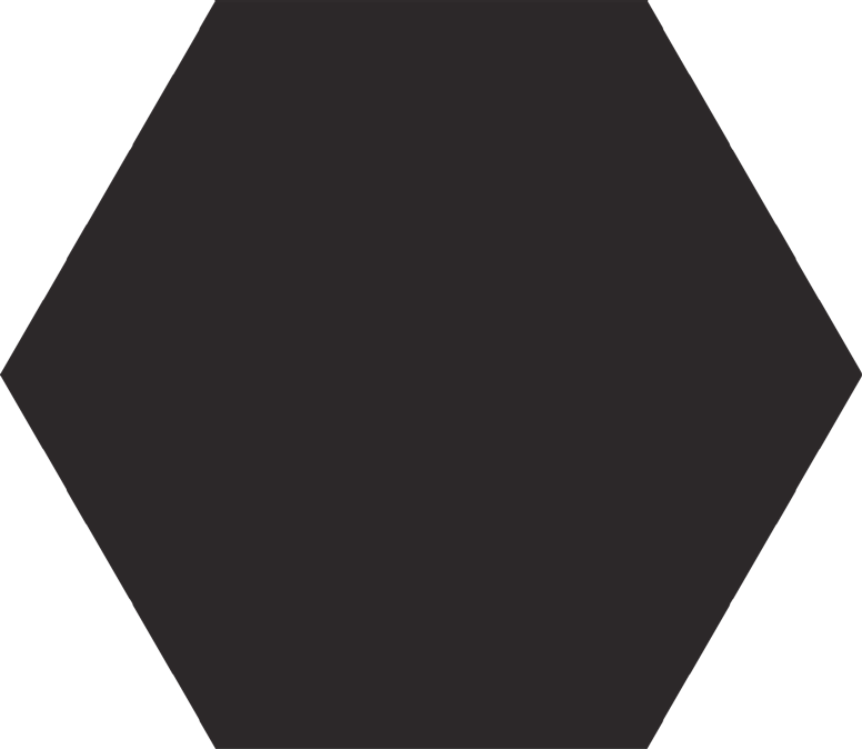 Apini 10" Hexagon  Tile