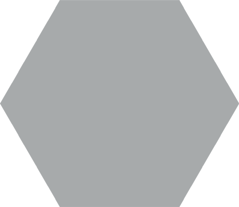 Apini 10" Hexagon  Tile