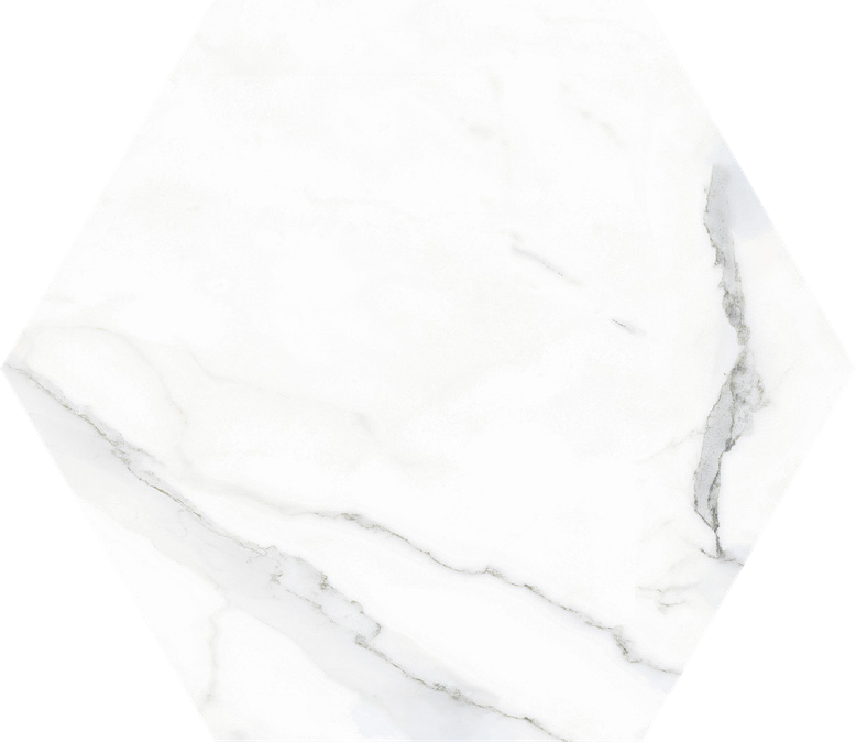 Apini 10" Hexagon  Marble Look Tile