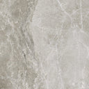 Emperor Marble Look Tile