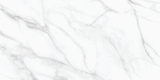 Calacatta Livid Marble Look Tile