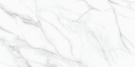 Calacatta Livid Marble Look Tile