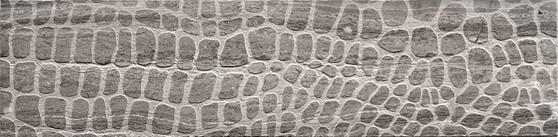 Artistic Etched Alligator Mosaic Tile