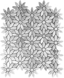 DC Metro Lafayette Park