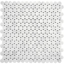 DC Metro Logan Circle Honed