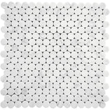 DC Metro Logan Circle Honed