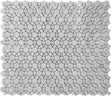 DC Metro Woodley Park