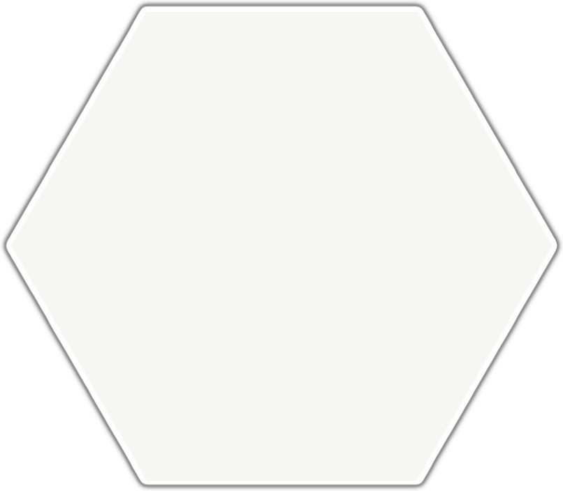 Apini 10" Hexagon  Tile